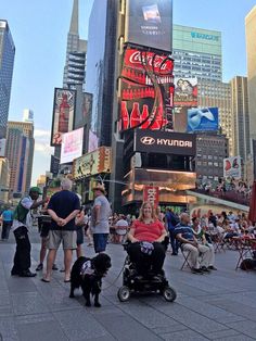 people are walking around in the city with their dogs and one person is pushing a stroller