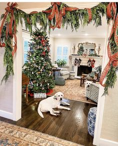 a dog laying on the floor in front of a christmas tree