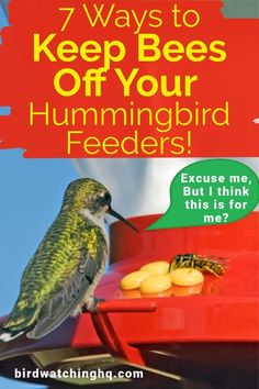 a bird sitting on top of a feeder with the words 7 ways to keep bees off your hummingbird feeders