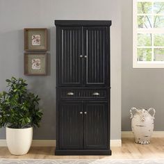 a tall black cabinet next to a potted plant in a living room with gray walls