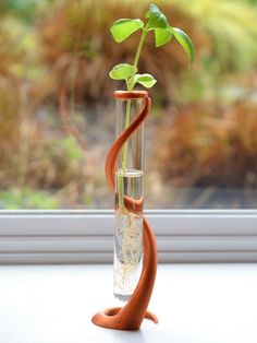 a plant is in a glass vase with water on the window sill next to it