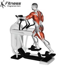 an image of a man on a treadmill with the muscles highlighted in red and white