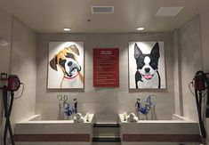 two dogs are hanging on the wall next to each other in front of some sinks