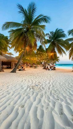 people are sitting on the beach under palm trees