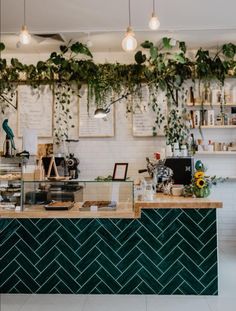 the interior of a coffee shop with plants growing on the wall and shelves above it