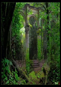 an old building in the middle of a forest with lots of trees and bushes around it