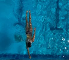 an overhead view of a man swimming in a pool with his back to the camera