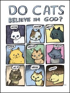 an image of cats in different colors with the words do cats believe in god?