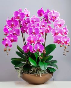 a potted plant with purple orchids in it