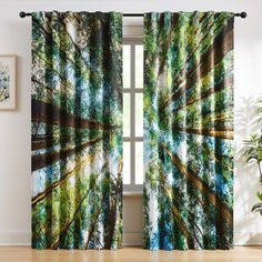 an image of a forest scene from the inside out window curtain panels with trees on them