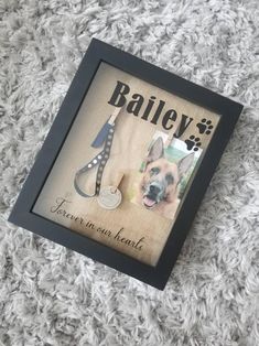 a picture frame with a dog's name and leash attached to it on a carpet