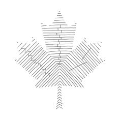 a black and white drawing of a maple leaf with lines in the shape of leaves