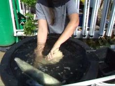 a person is making food on a grill