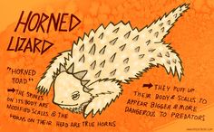 a drawing of a porcupine with the words horned lizard on it's back