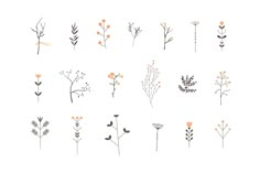 a bunch of flowers that are on a white background with the words,'all kinds of