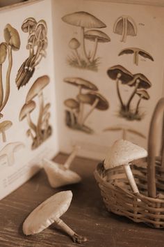 mushrooms are sitting in a basket next to an open book