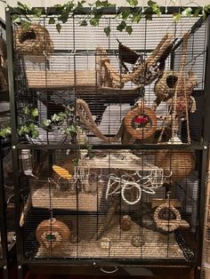 a cage filled with lots of different types of birds