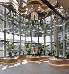 a room filled with lots of windows and plants