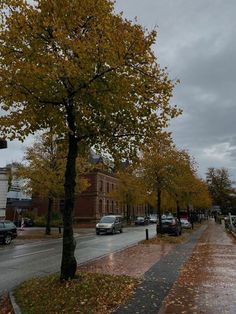 an empty street with cars parked on the side and trees lining the road in autumn