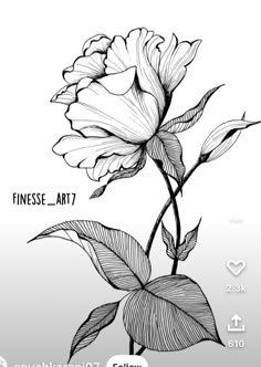 a drawing of a flower with the words finessse - art 7 on it's side