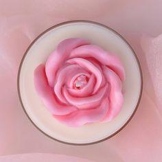 a pink rose in a white bowl on a pink surface with the petals wilting