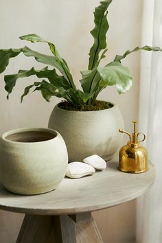 a potted plant sitting on top of a wooden table next to a gold faucet