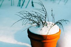 Yeah, okay, “unwinterize” isn’t a word. But to be honest we don’t care. What we care more about is your skin. Spring is on its way, which means that now’s the time to fix the damaging effects of winter and start changing up your skin care routine.