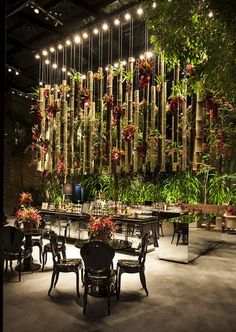 an indoor dining area with tables and chairs, plants hanging from the ceiling above them