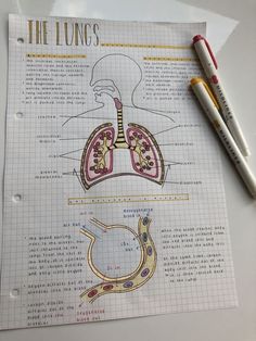 a diagram of the lungs on top of a piece of paper next to two markers