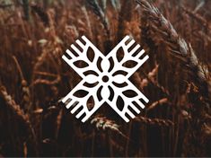 a white snowflake on top of some brown grass