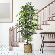 a potted plant sitting in front of a stair case next to a wooden chair