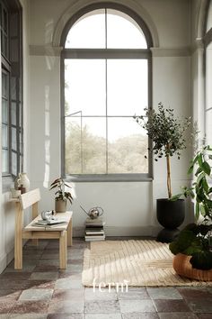 a living room filled with furniture and a large window next to a potted plant