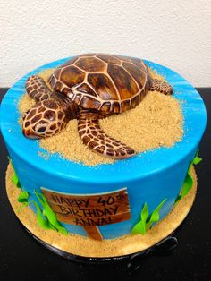 there is a cake that has a turtle on the top and sand in the bottom