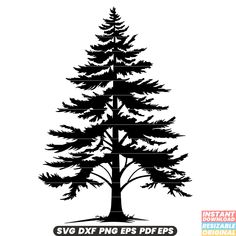 a black and white silhouette of a pine tree with the words svg dxf eps