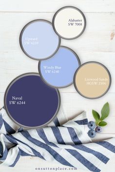 the color scheme for blue and white is shown