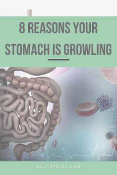 Why is My Stomach Growling. 8 reasons for stomach rumbling and stomach noises. Digestive process, peristalsis, MMC agutsygirl.com Gurgling Stomach, Gassy Stomach, Stomach Rumbling, Stomach Remedies, Stomach Gas, Stomach Growling, Gastric Problem, Stomach Ulcers