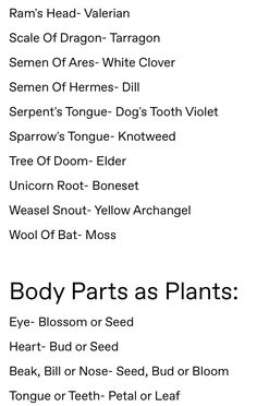 Witchcraft Garden, Witch Names For Herbs, Basic Witch Herbs, Folk Names For Herbs, German Folk Magic, Plant Correspondences, Plants Used In Witchcraft, Folk Magic Witchcraft, Flowers Used In Witchcraft