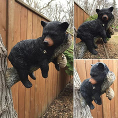 three pictures of a black bear on a tree