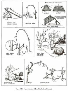 the instructions for how to build an arbor