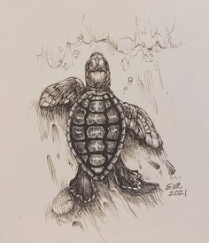 a drawing of a sea turtle with its head above the water and it's back to the camera