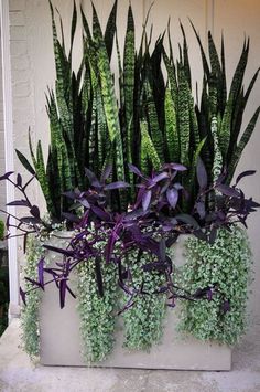 a planter filled with purple and green plants