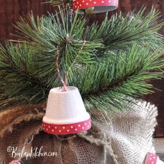 a christmas ornament hanging from a pine tree with red and white polka dots on it