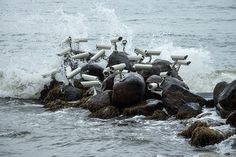 there are many cameras sitting on the rocks in the water near the ocean waves crashing over them