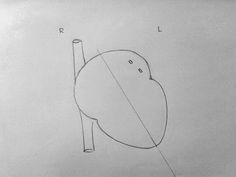 a pencil drawing of a cartoon character with the letter l on it's back