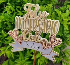 a cake topper with the words feli y aniverso calabo on it