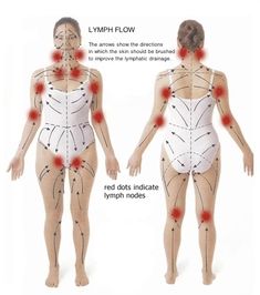 Lymph Node Massage, Manual Lymph Drainage, Drainage Massage, Body Massage Techniques, Massage Therapy Techniques