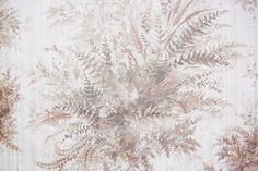 an old wallpaper with leaves and plants on the back ground in front of a white background