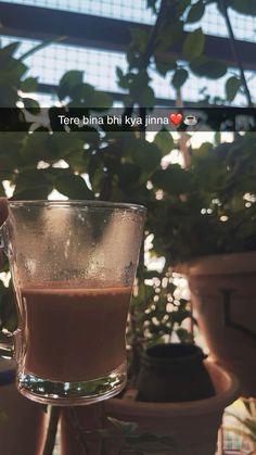 there is a cup of coffee on the table next to potted plants and windows