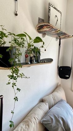 there is a shelf with plants on it in the corner next to a bed and pillows