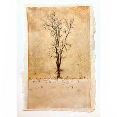 a tree with no leaves is shown in an old paper cutout on the wall